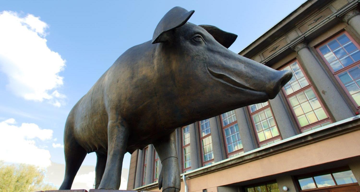 Markthalle in Tartu: vor dem Marktgebäude grüßt das Bronzene Schwein