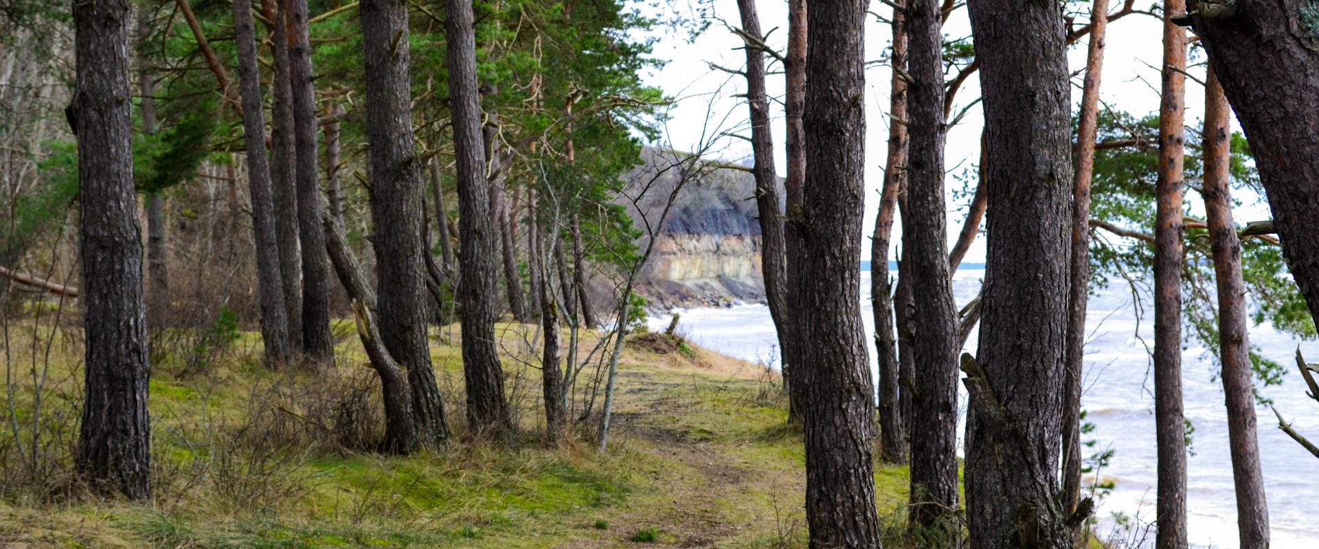 Day trip to the coastal areas of Northern Estonia and Rummu quarry