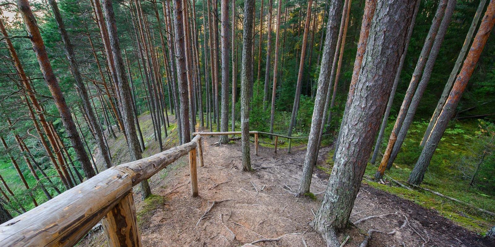 Die Härma-Mauern im Urstromtal des Flusses Piusa