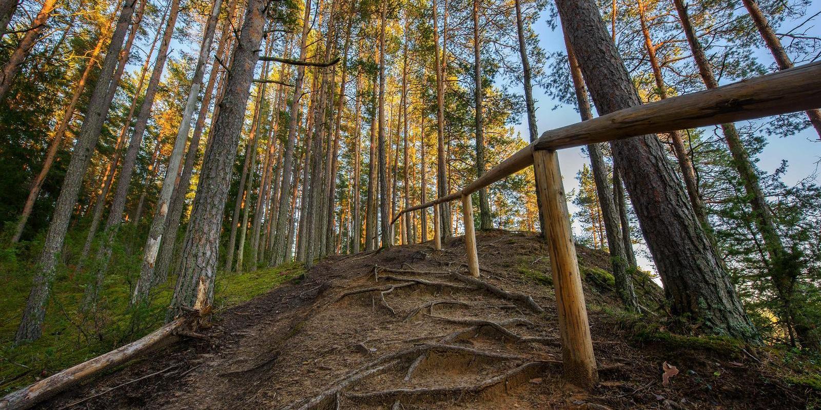 Die Härma-Mauern im Urstromtal des Flusses Piusa