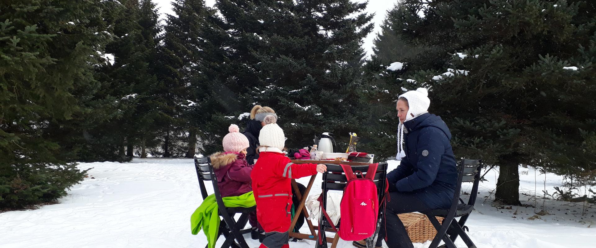 Picnic by the Jägala waterfall