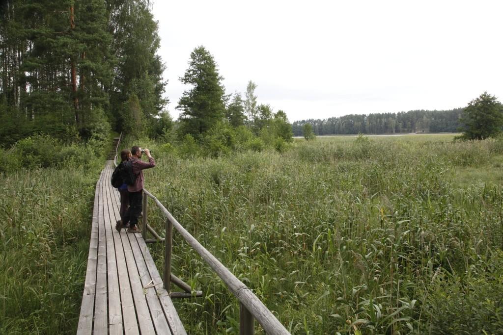 Wanderweg von Õrsava