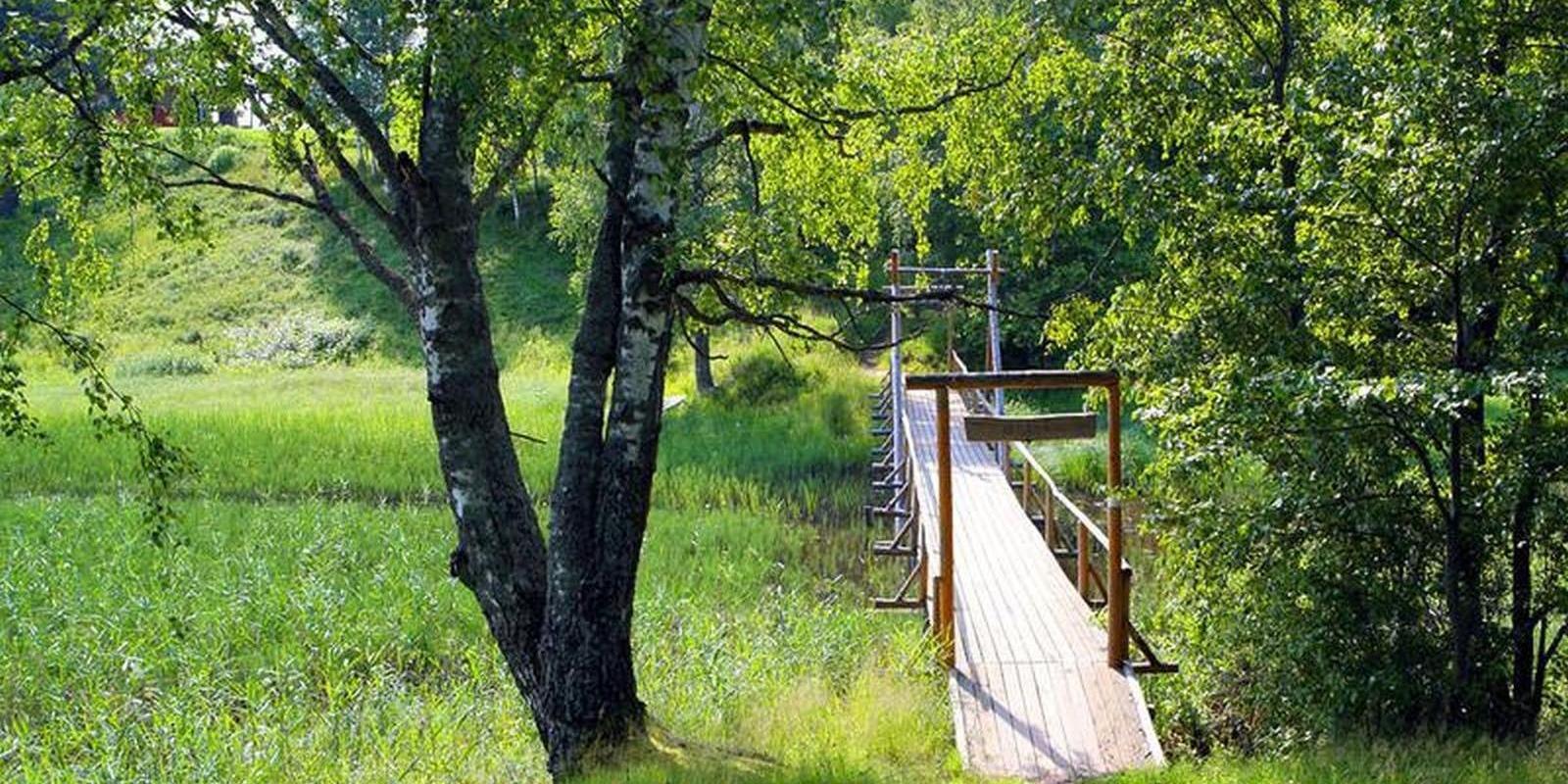 5,2 km pituinen polku mutkittelee Õrsavan järven ympärillä ja tarjoaa kauniita näkymiä. Polulla on useita porrassiltoja pienten purojen yli. Polku esi