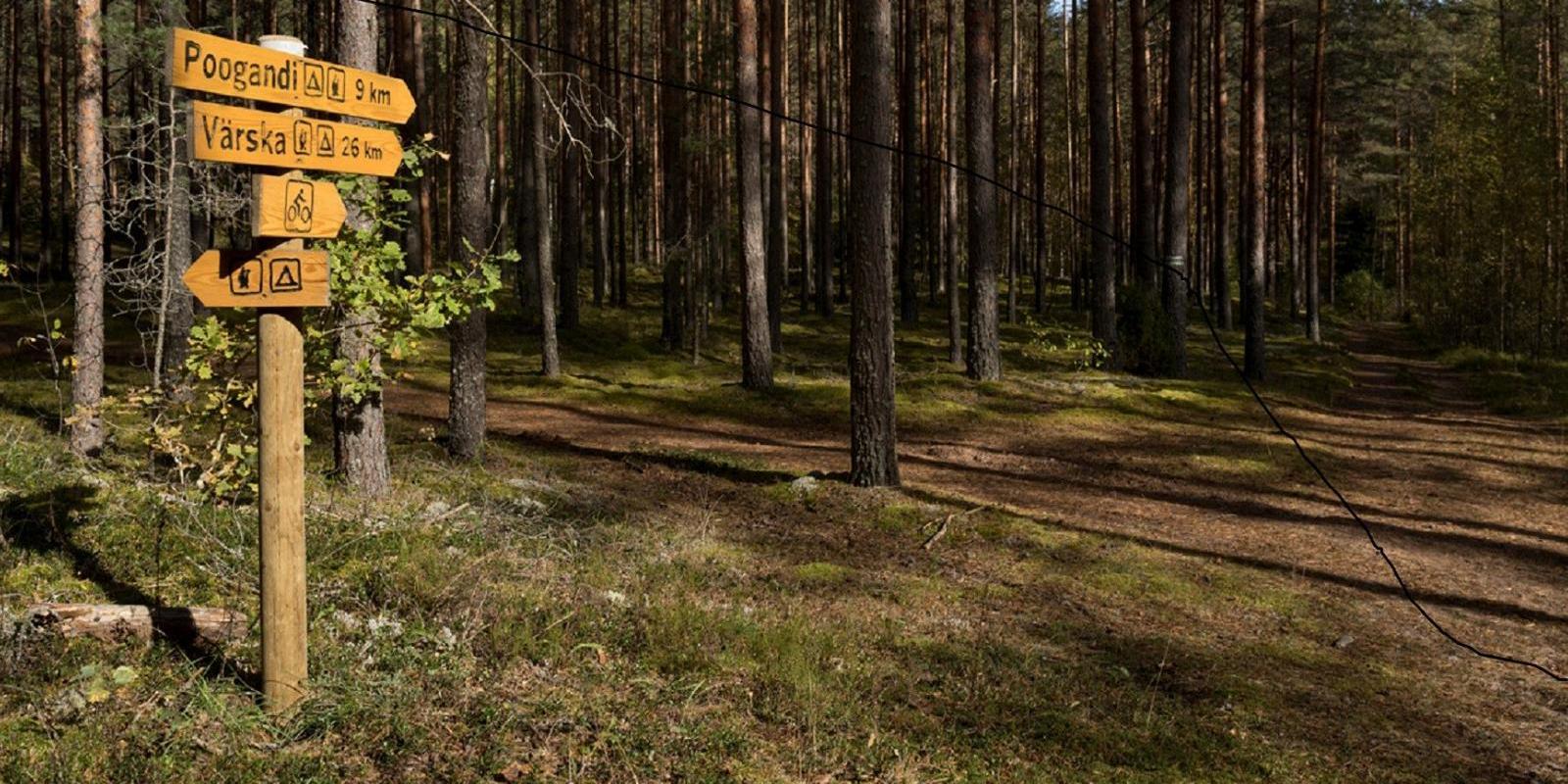 Fahrradstrecke Laskevälja