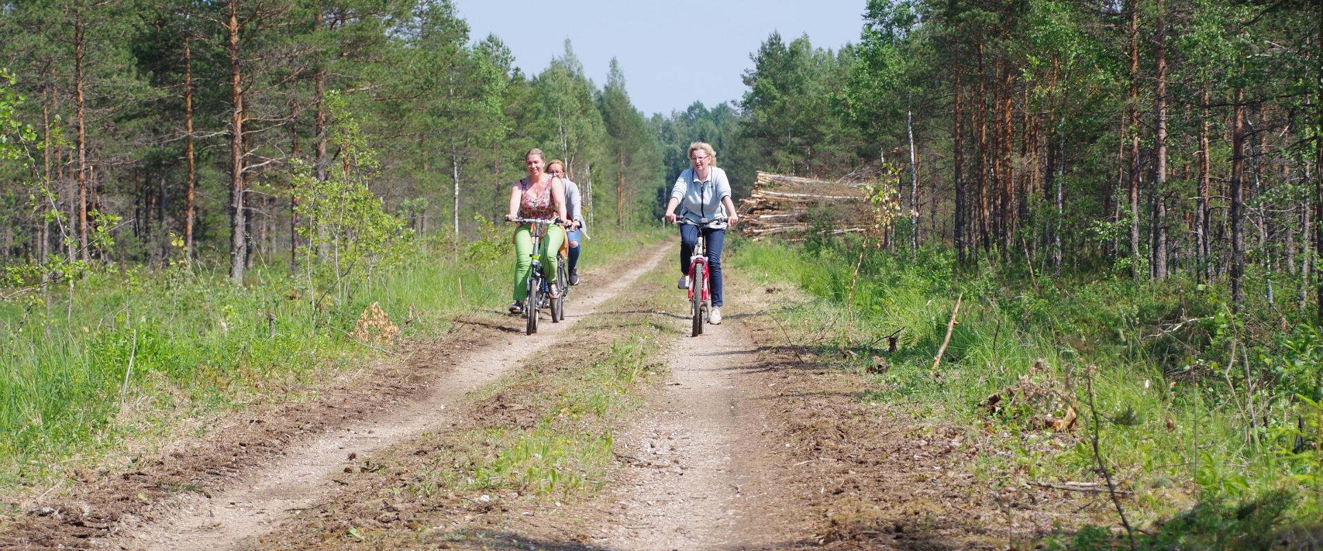 Wanderweg „Grüne Schienen“ von Viljandi nach Mõisaküla