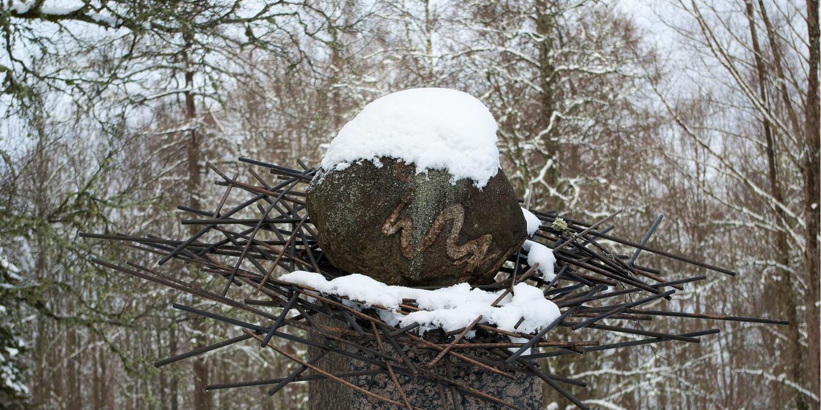 Kaarnakivi Stone in Rõuge Park