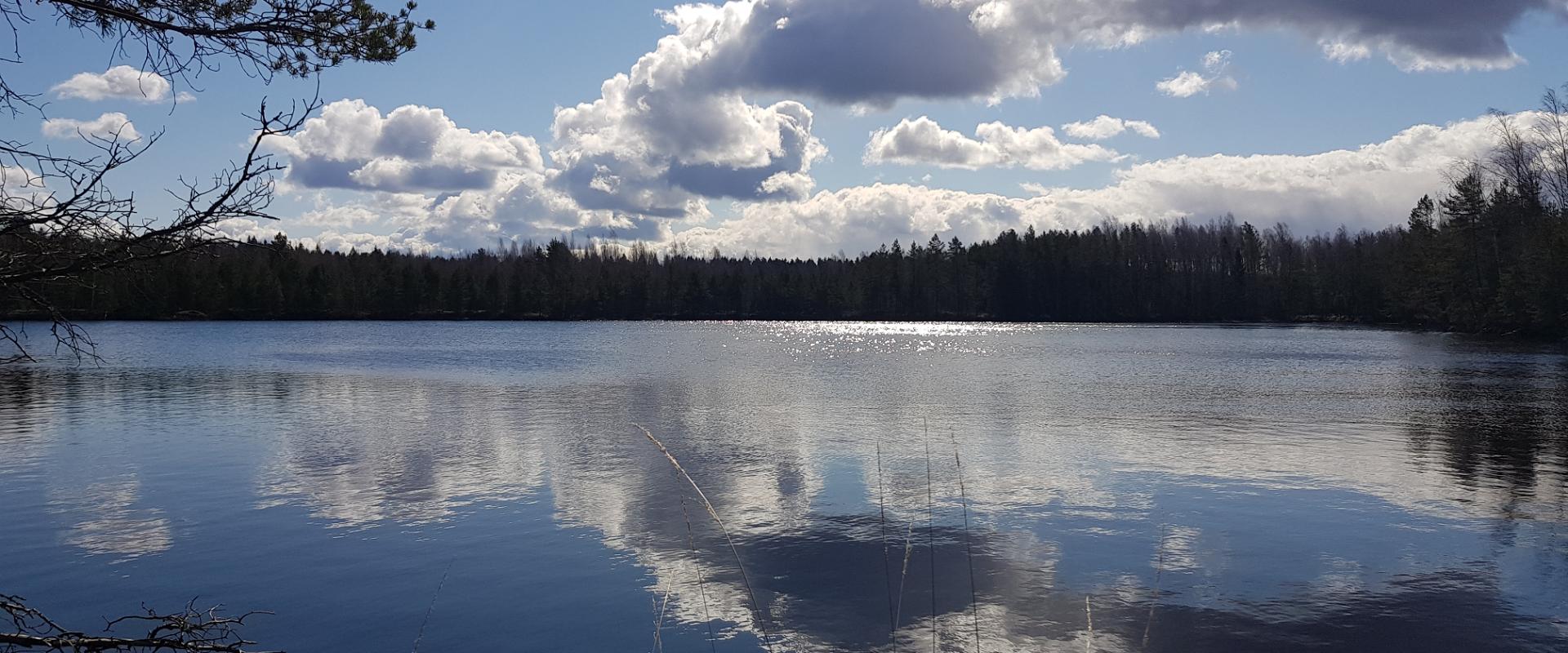 The Kurtna lake district, located in Alutaguse Rural Municipality, is one of Estonias most lake-rich areas, where 42 lakes can be found in an area of 