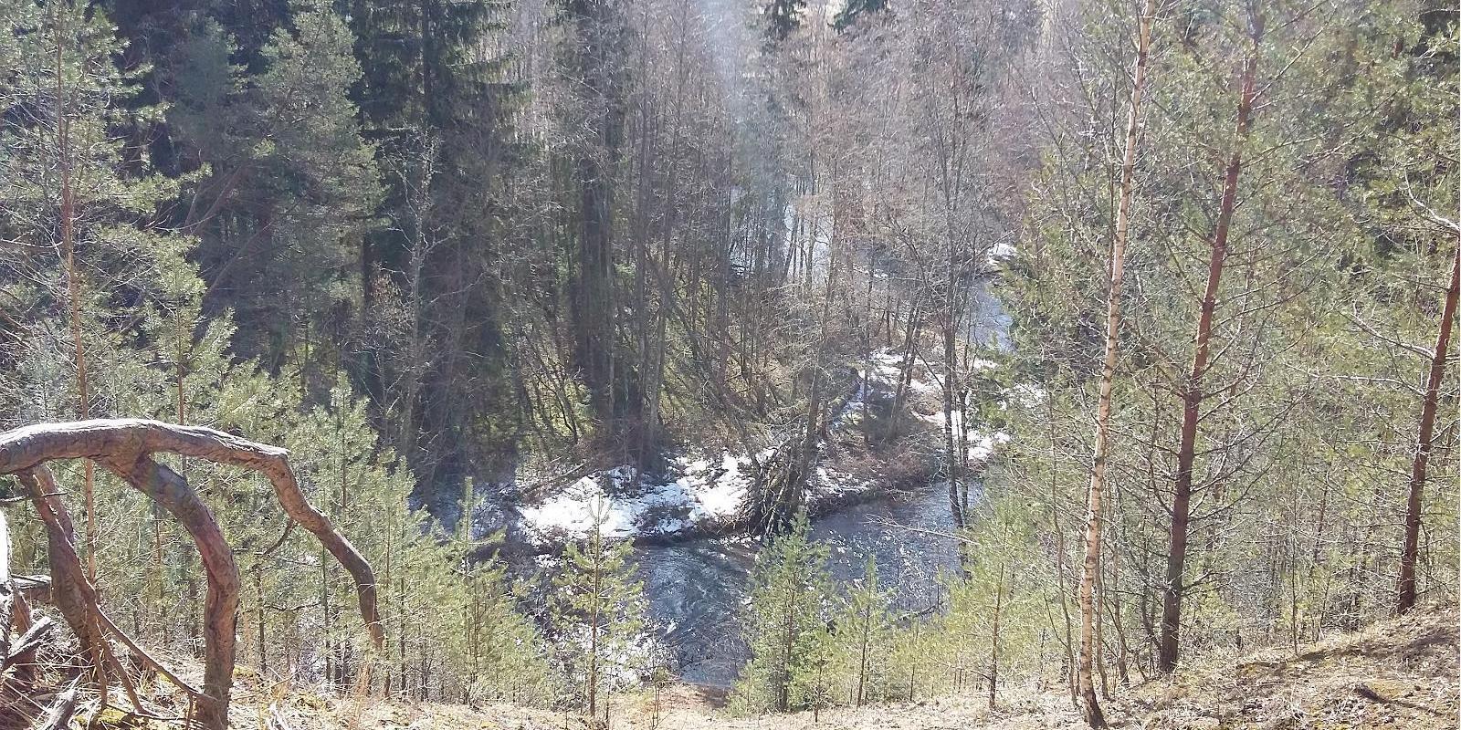 Wanderweg und Aussichtsturm am See Viti