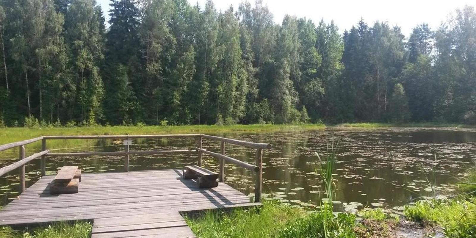 Wanderweg und Aussichtsturm am See Viti