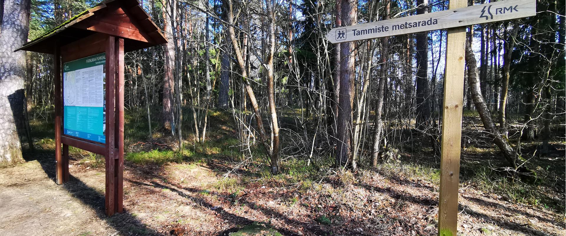 Tammiste forest trail