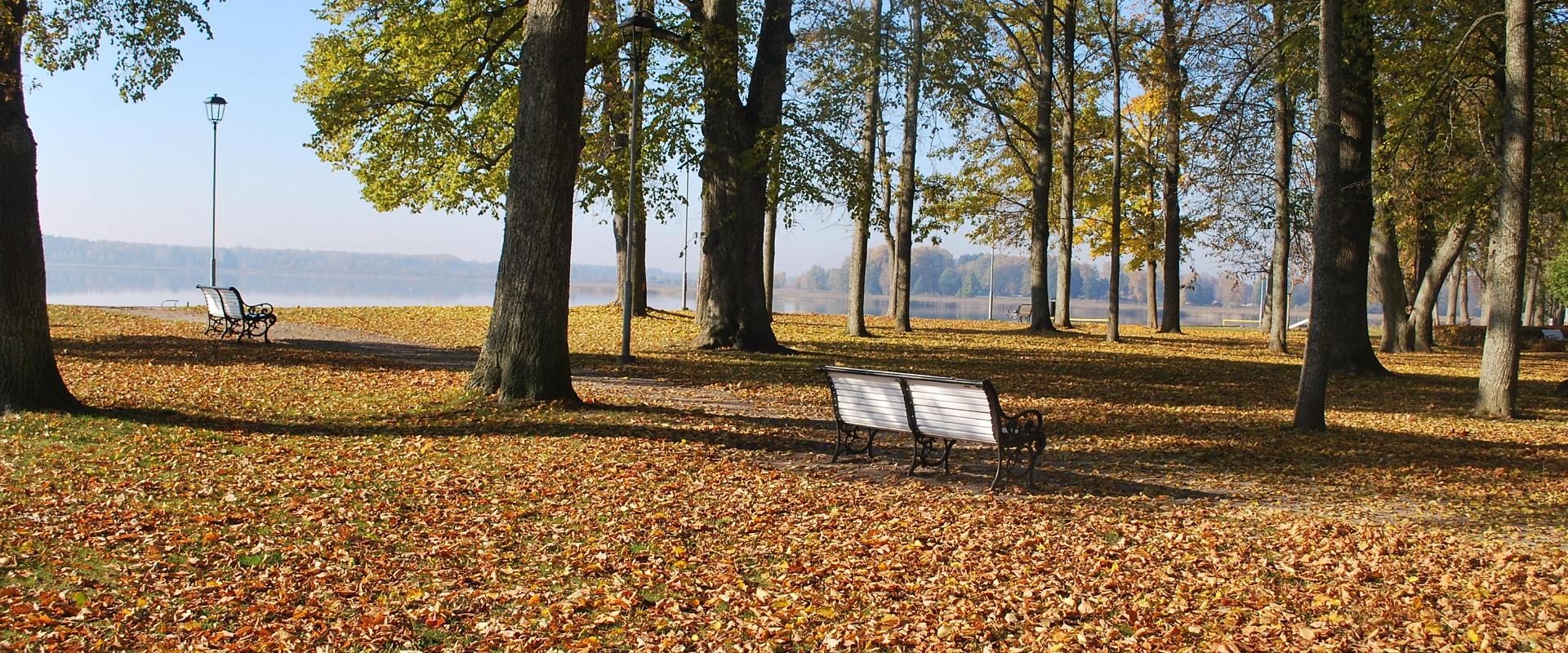 The Fr. R. Kreutzwaldi Monument and Park on the Shore of Lake Tamula