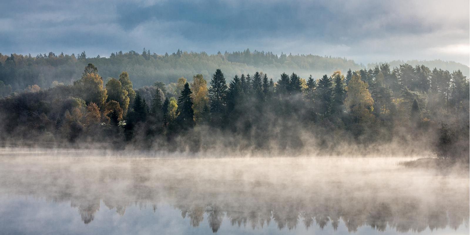 Tamulan järvi