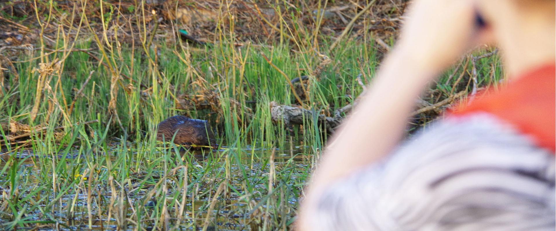 Kopravaatlusmatk kanuudel