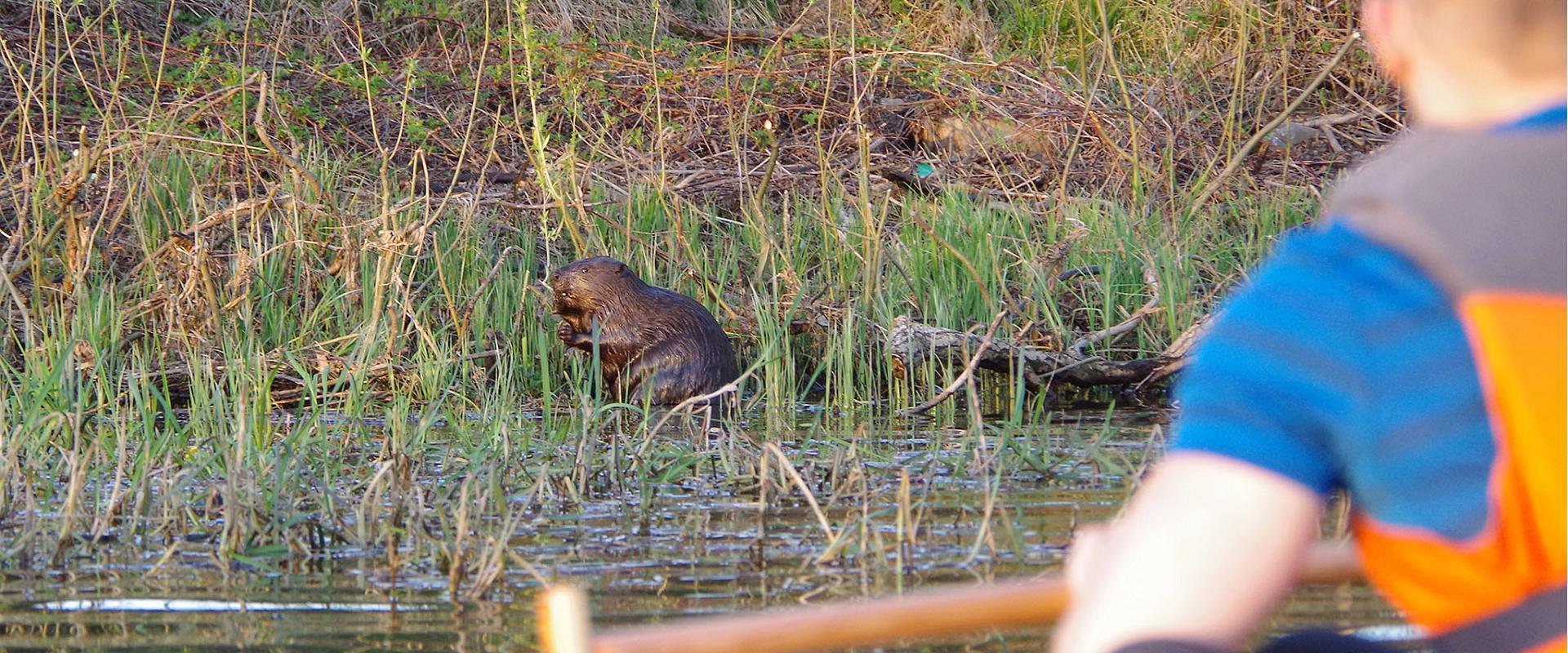 Kopravaatlusmatk kanuudel