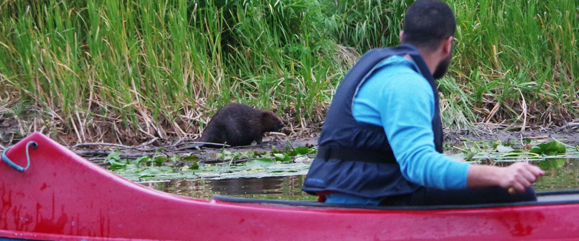 Kopravaatlusmatk kanuudel