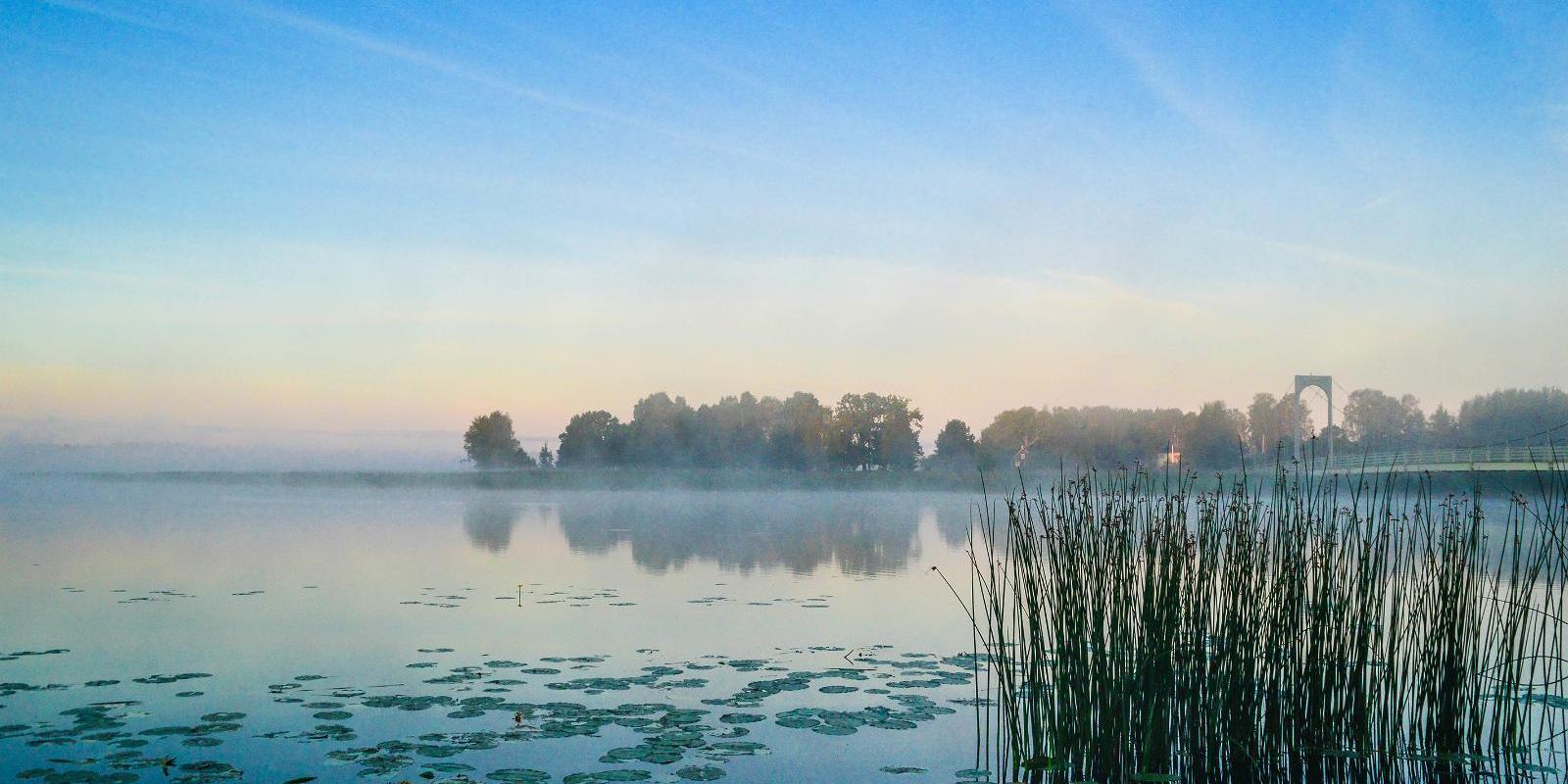 Roosisaaren silta