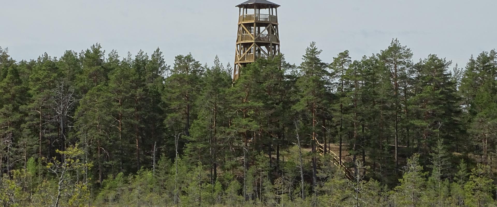 Põnev loodusretk matkajuhiga Aabla rabas