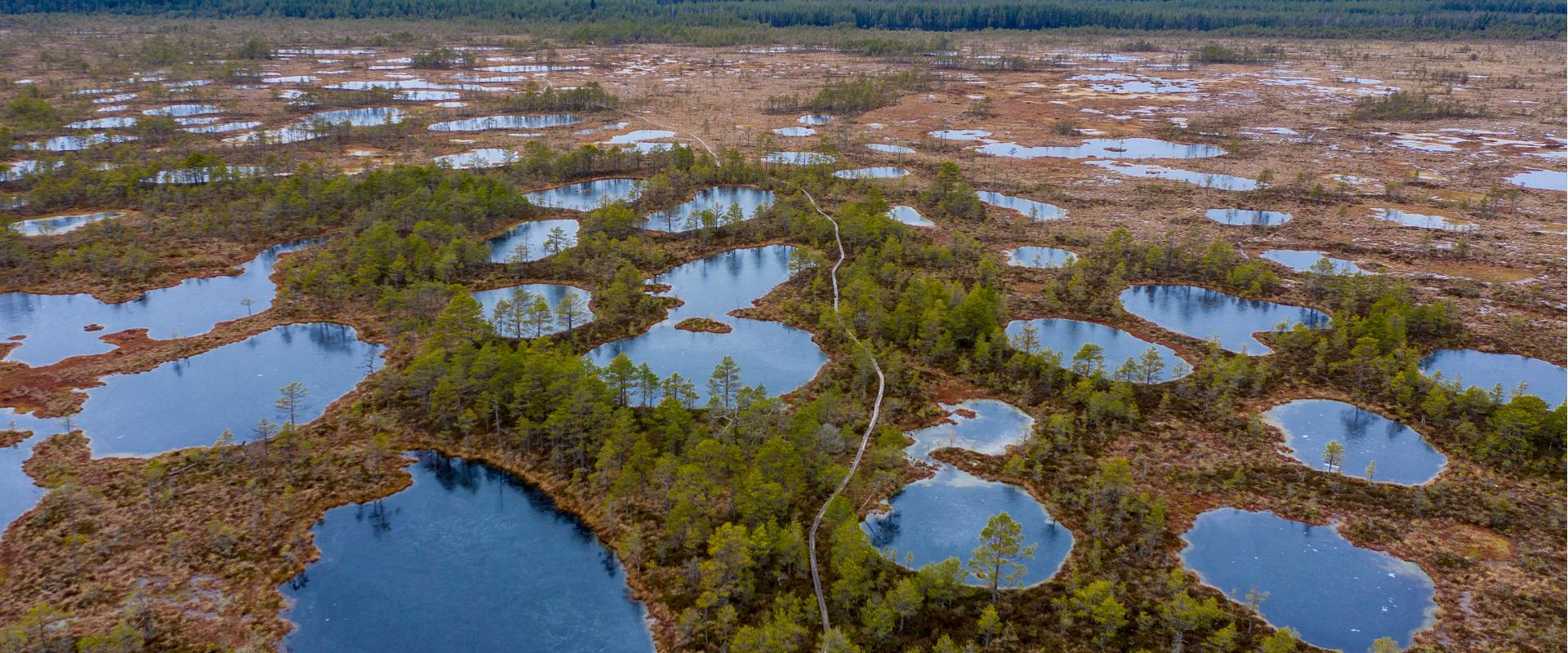 Pārgājiens ar sniega kurpēm Kennu Sūrso “Ledus laikmeta pēdās”