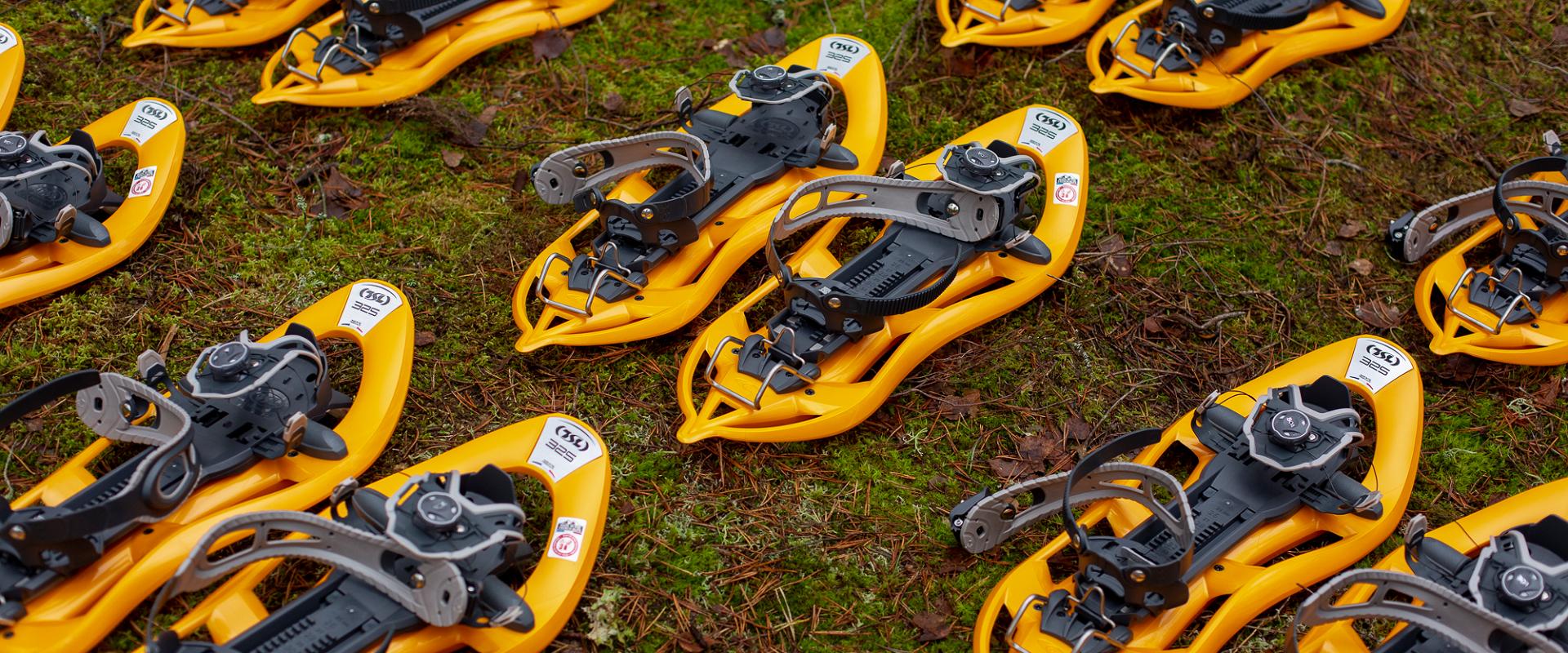 Bogshoe hike in Kõnnu Suursoo - bogshoes