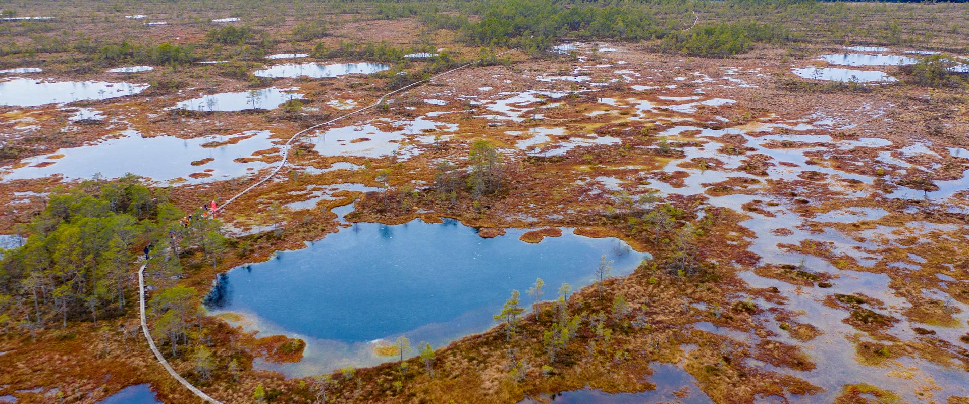 Pārgājiens ar sniega kurpēm Kennu Sūrso “Ledus laikmeta pēdās”