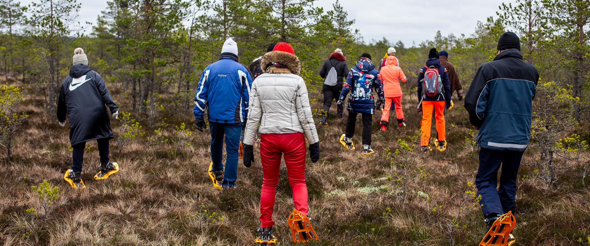 Räätsamatk Kõnnu Suursoos ”Jää-aja jälgedes”