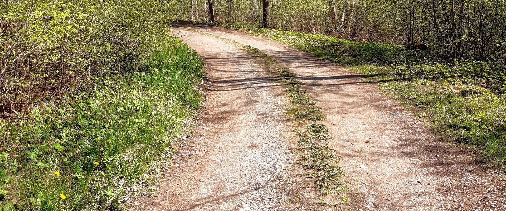 Pikksaare matkarada ja Pangodi lõkkekoht