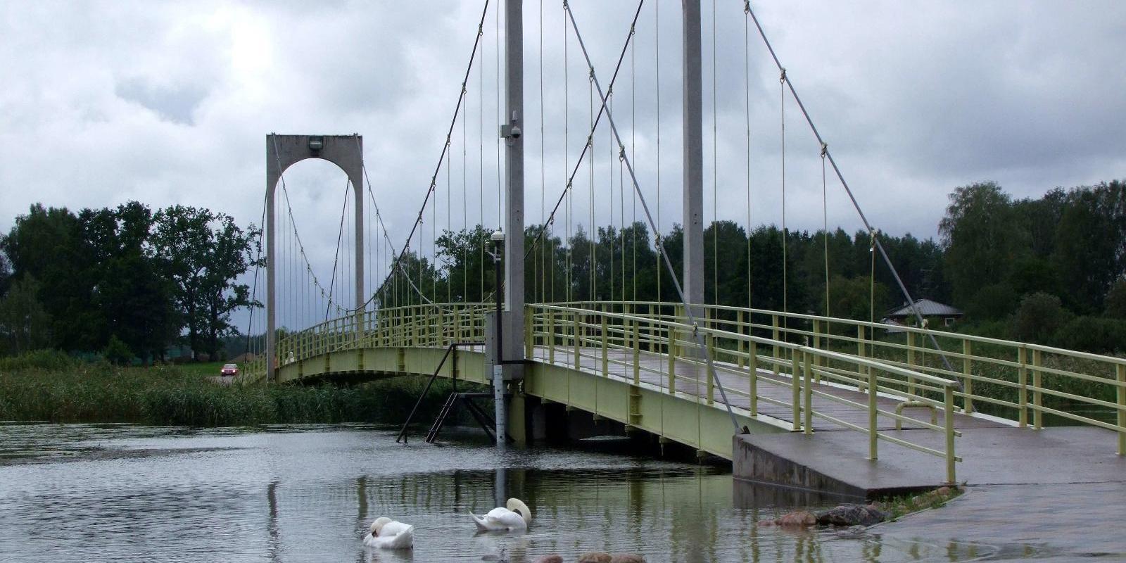 Tamula aizvēsturiskās apmetnes vieta Roosisaare salā