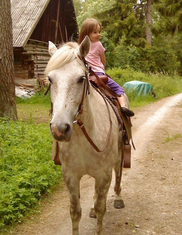 Iseseisev ratsutamine Voore tallis