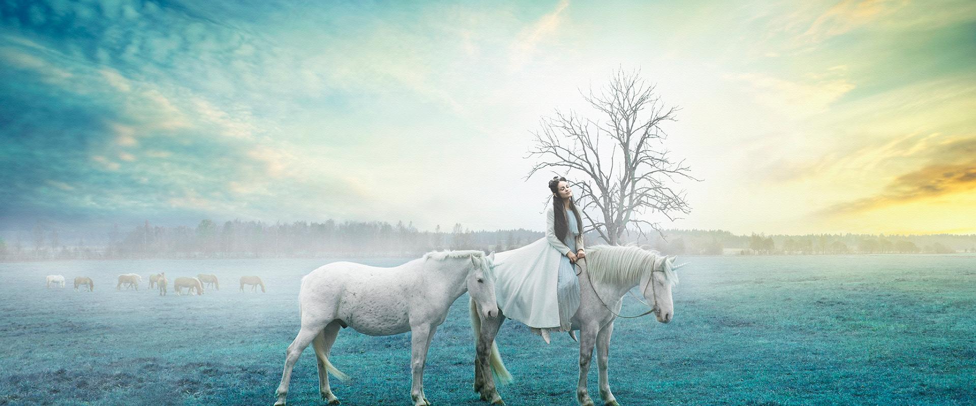 Iseseisev ratsutamine Voore tallis