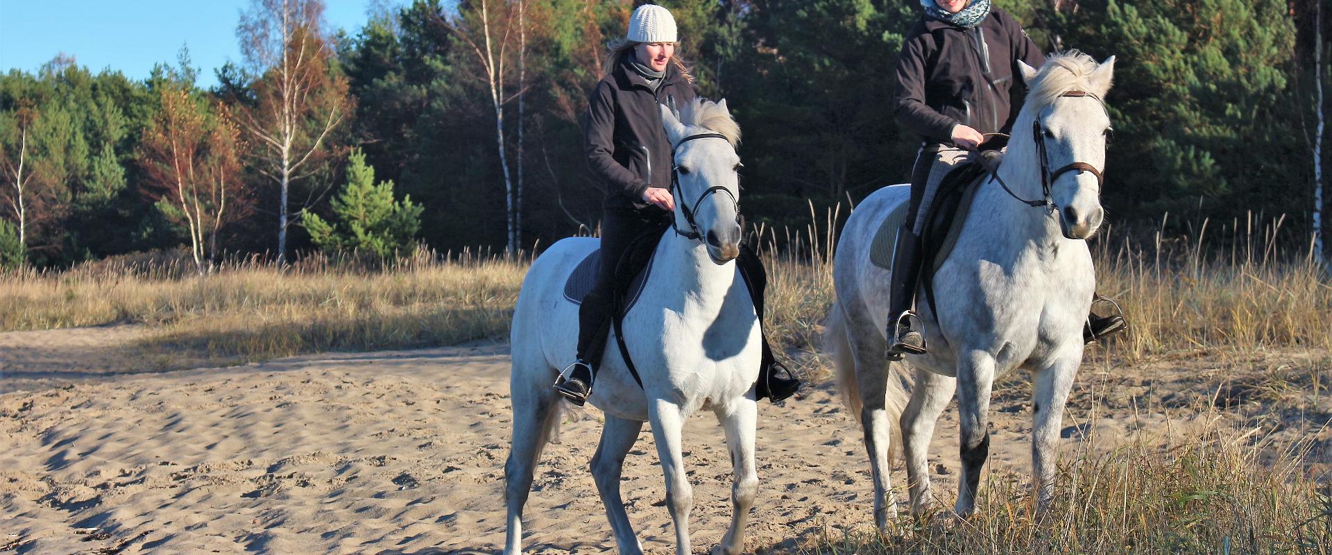 Iseseisev ratsutamine Voore tallis