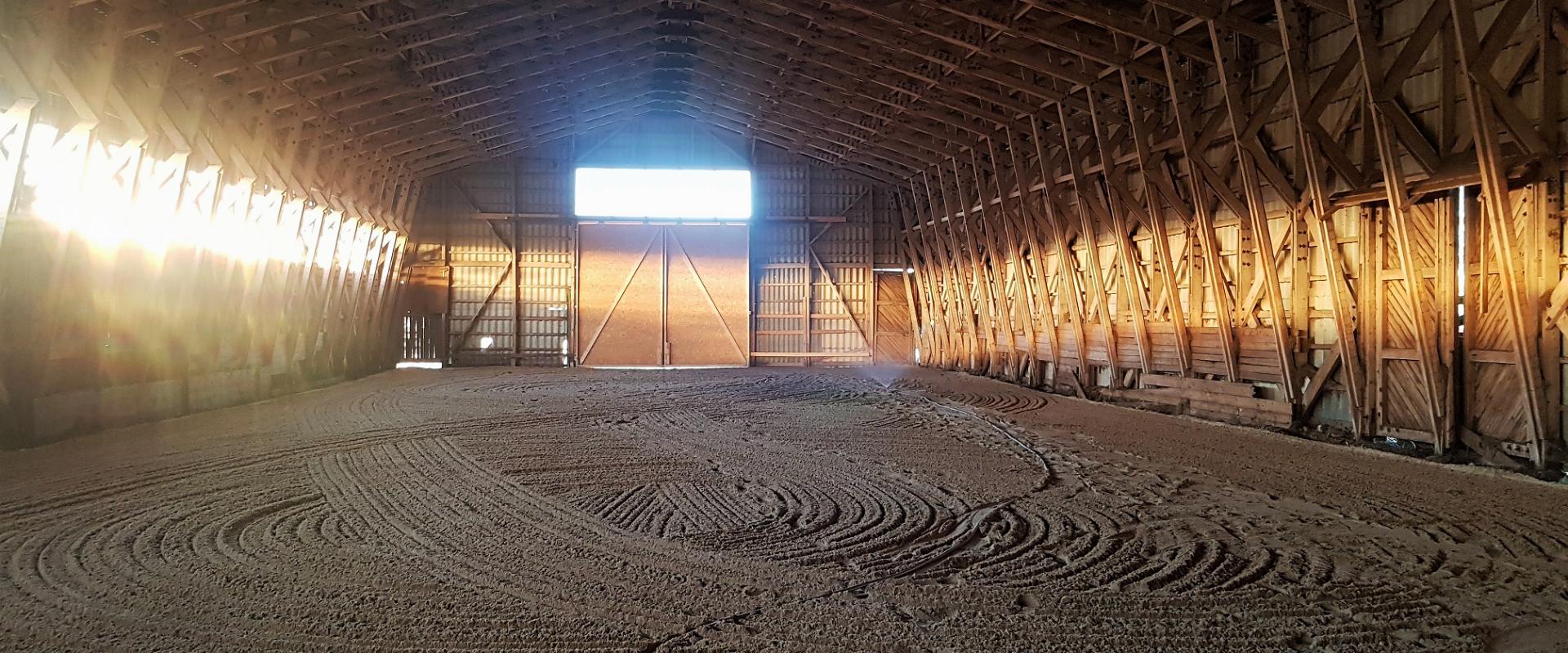 Iseseisev ratsutamine Voore tallis