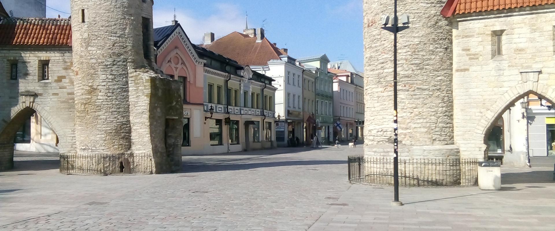 Guided Tour in the Old Town of Tallinn