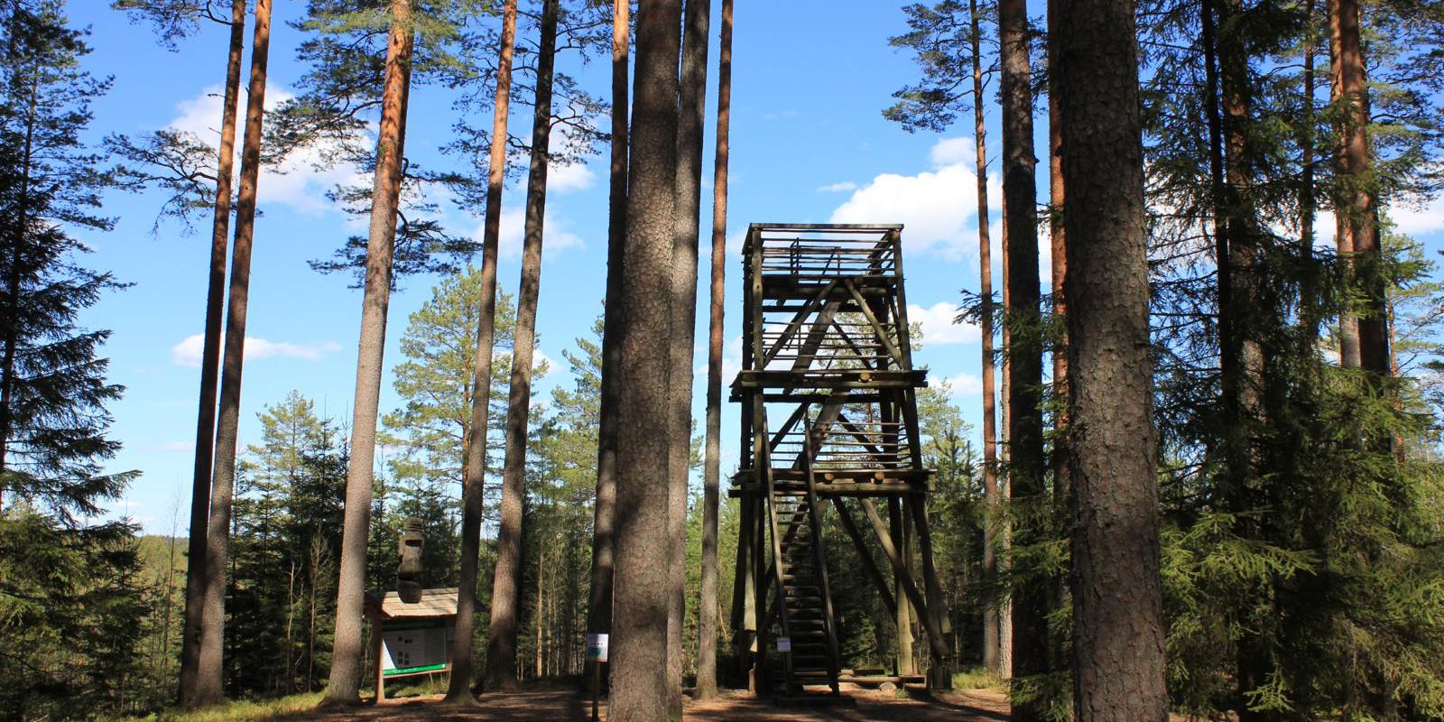 RMK Liipsaare observation tower