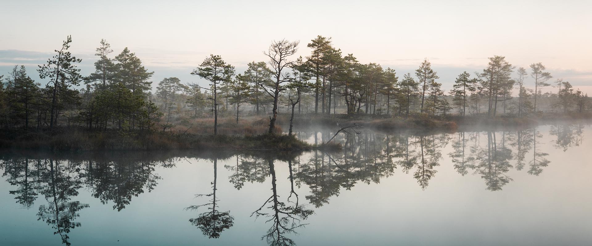 Saulrieta pārgājiens Somā