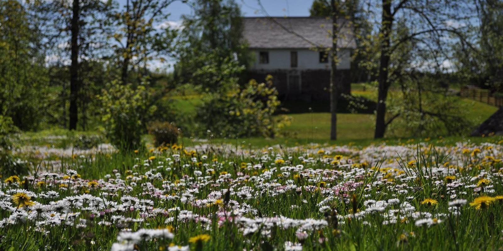 Maastikumäng Karilatsi vabaõhumuuseumis
