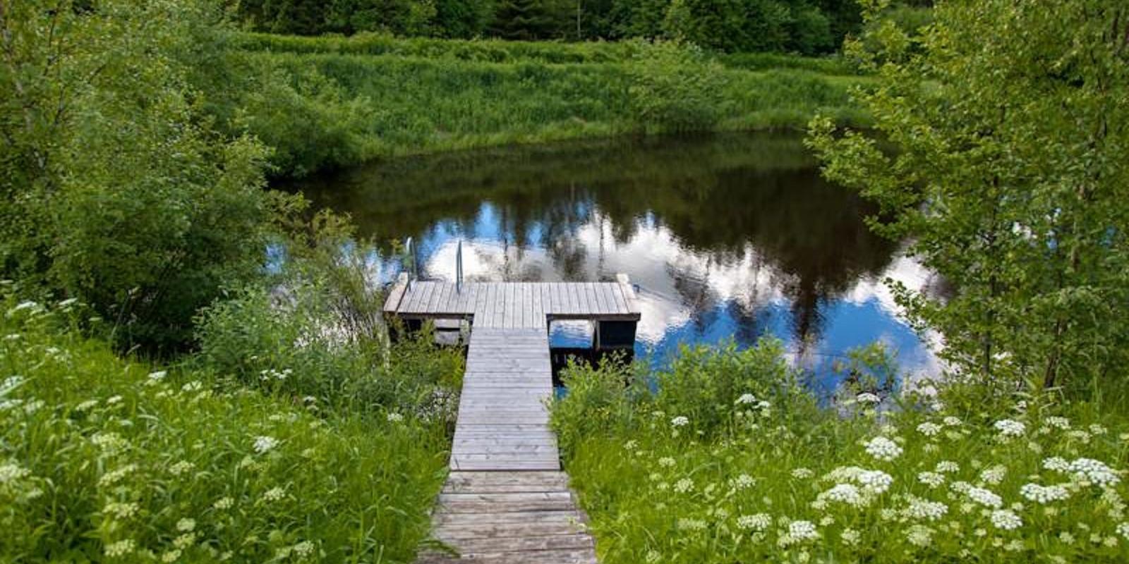 Viesu nams "Truu", peldvieta