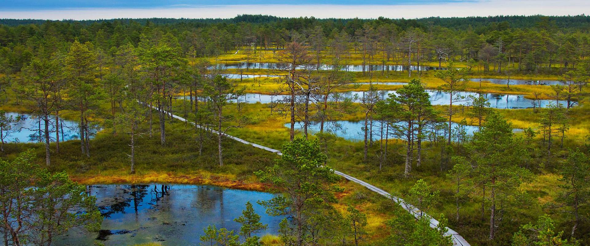 Giidiga päevareis Lahemaa Rahvusparki