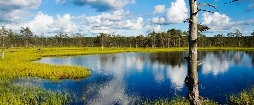 Traveller Tours giidiga päevareis Lahemaa rahvusparki