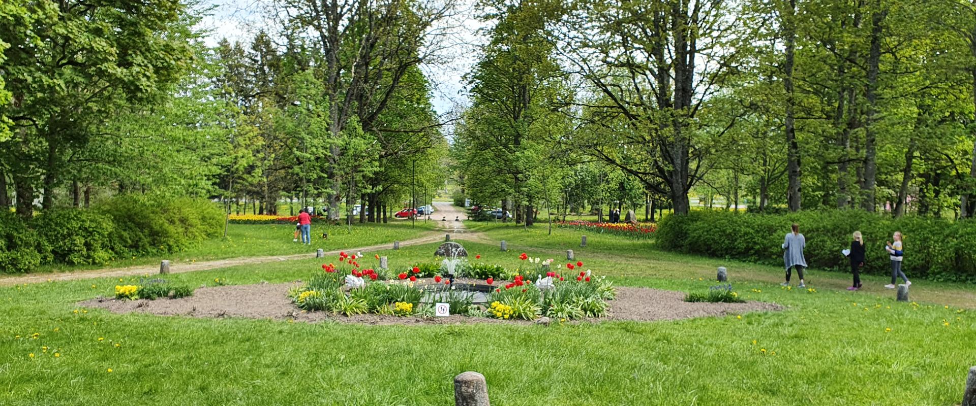 Tulppaaneja Kirnan kartanon puistossa