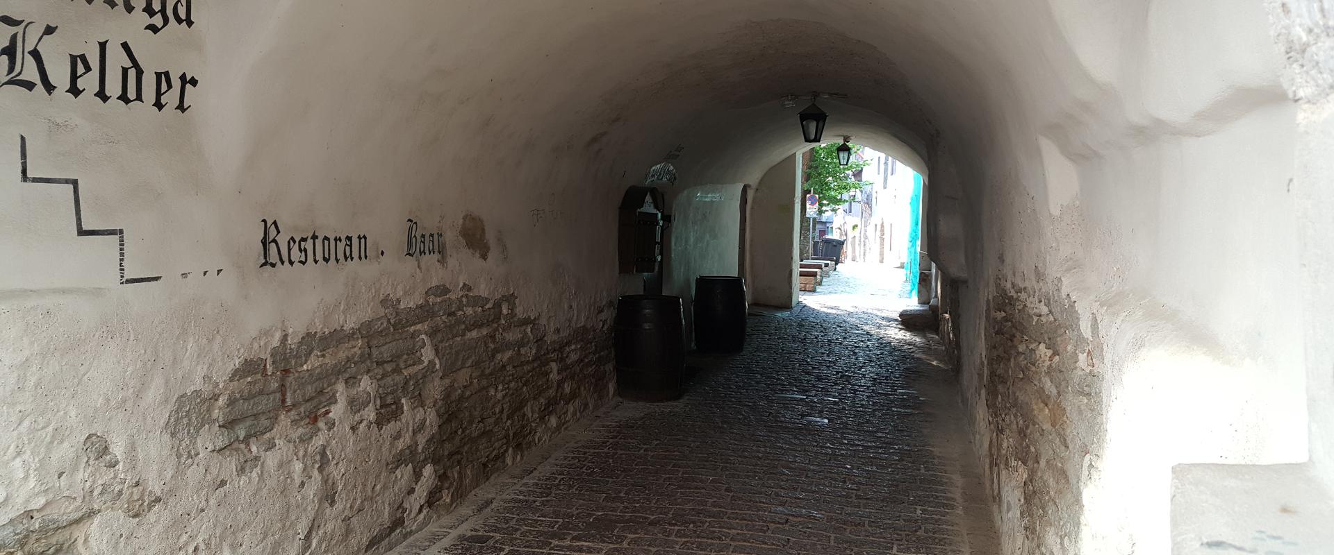 Guided Walking Tour in Tallinn's Old Town