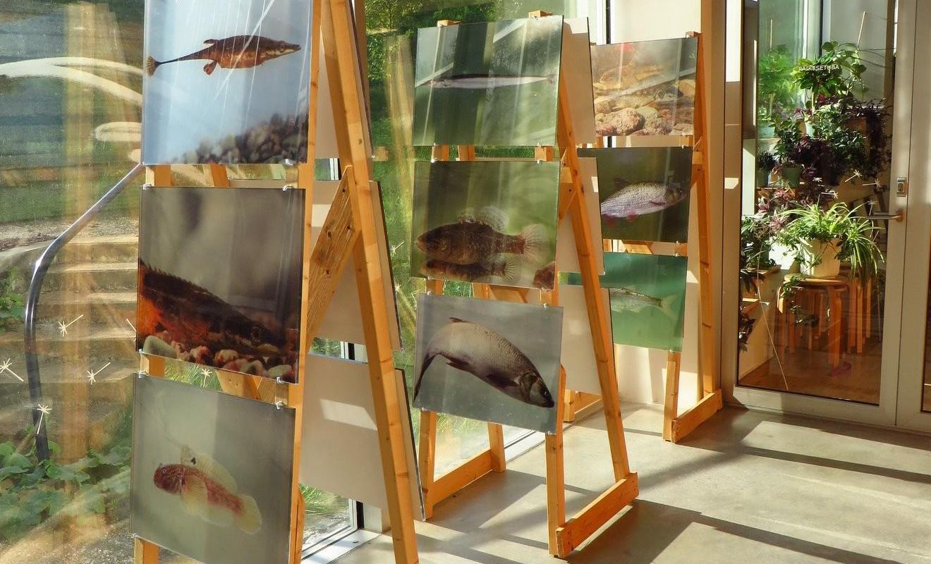 Exhibitions at Tartu Environmental Education Centre