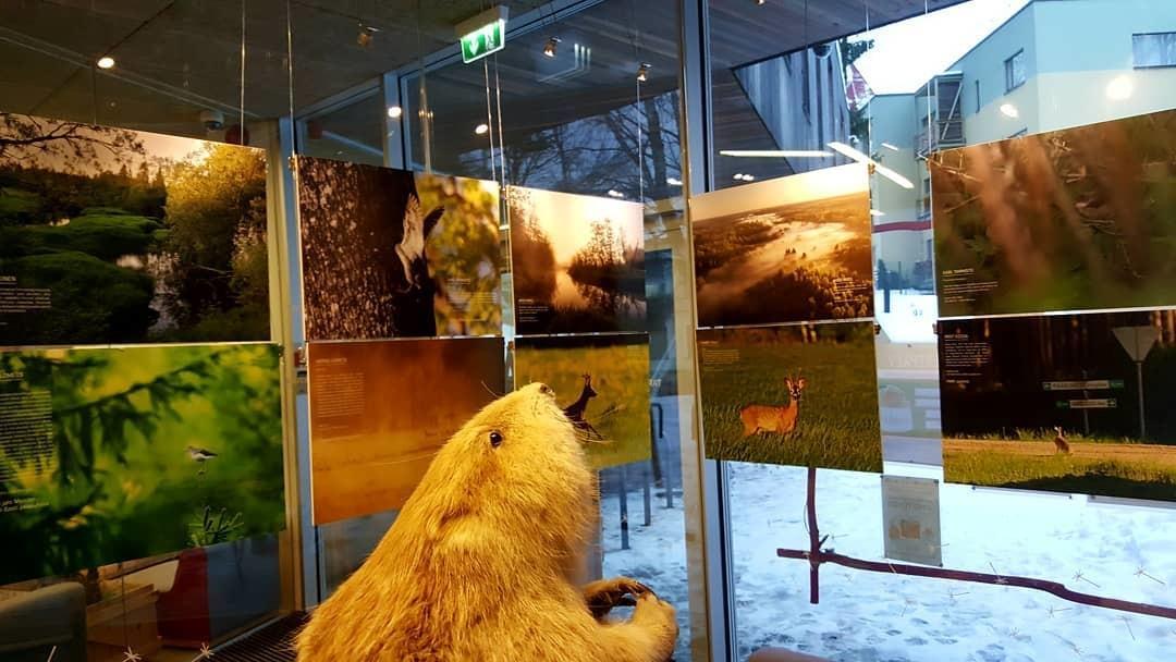 Exhibitions at Tartu Environmental Education Centre