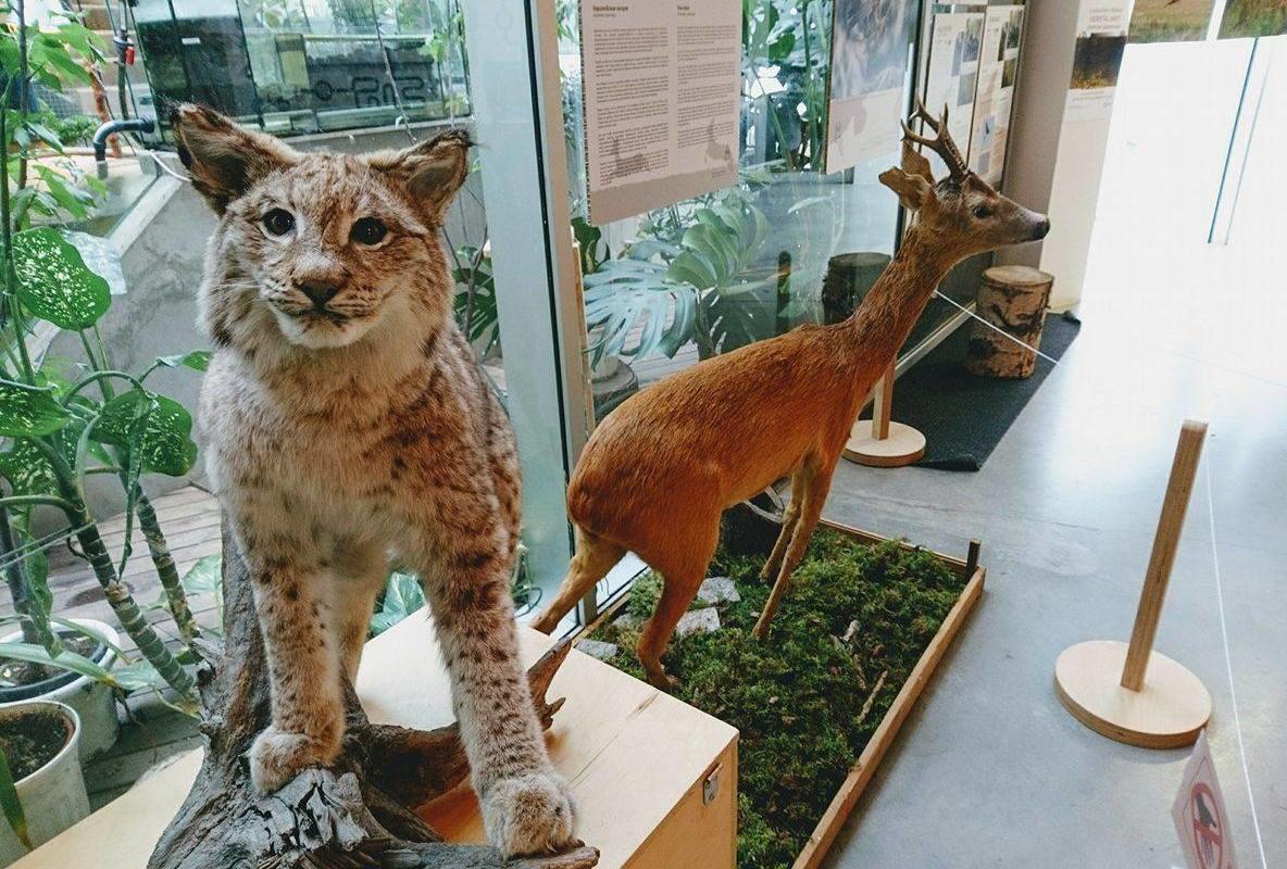 Exhibitions at Tartu Environmental Education Centre