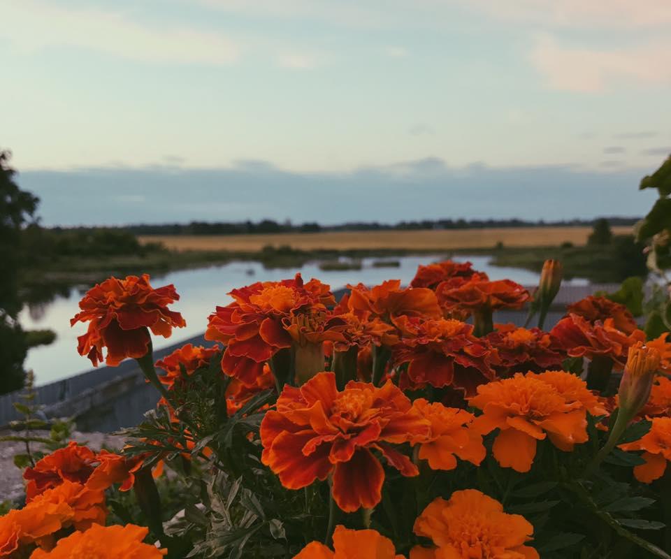 Ilmatsalu Motelli terrassil lilled vaatega järvele Tartumaal.