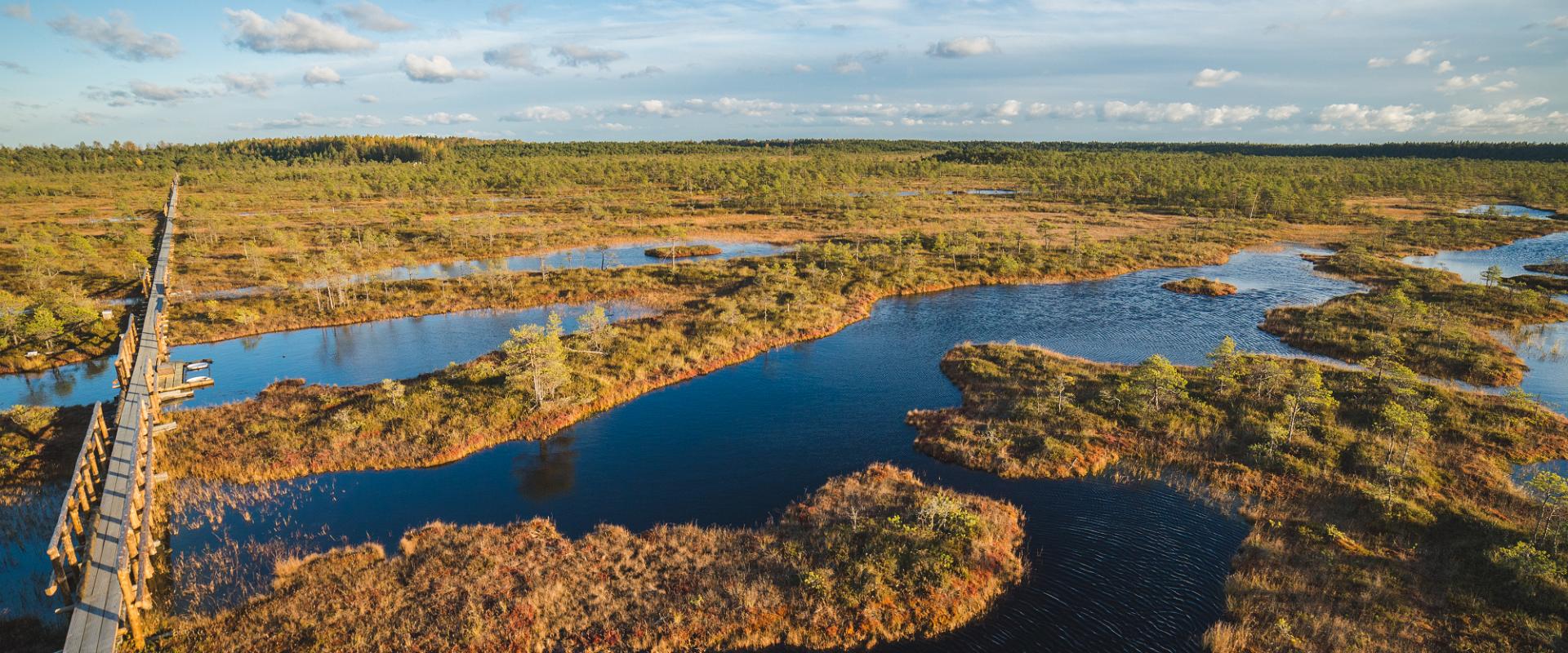 Räätsadega Männikjärve rappa