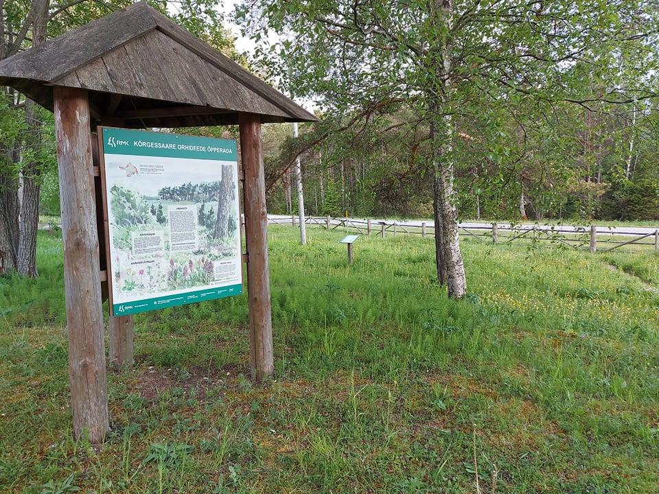 Das Lehrbeet der Orchideen in Kõrgessaare