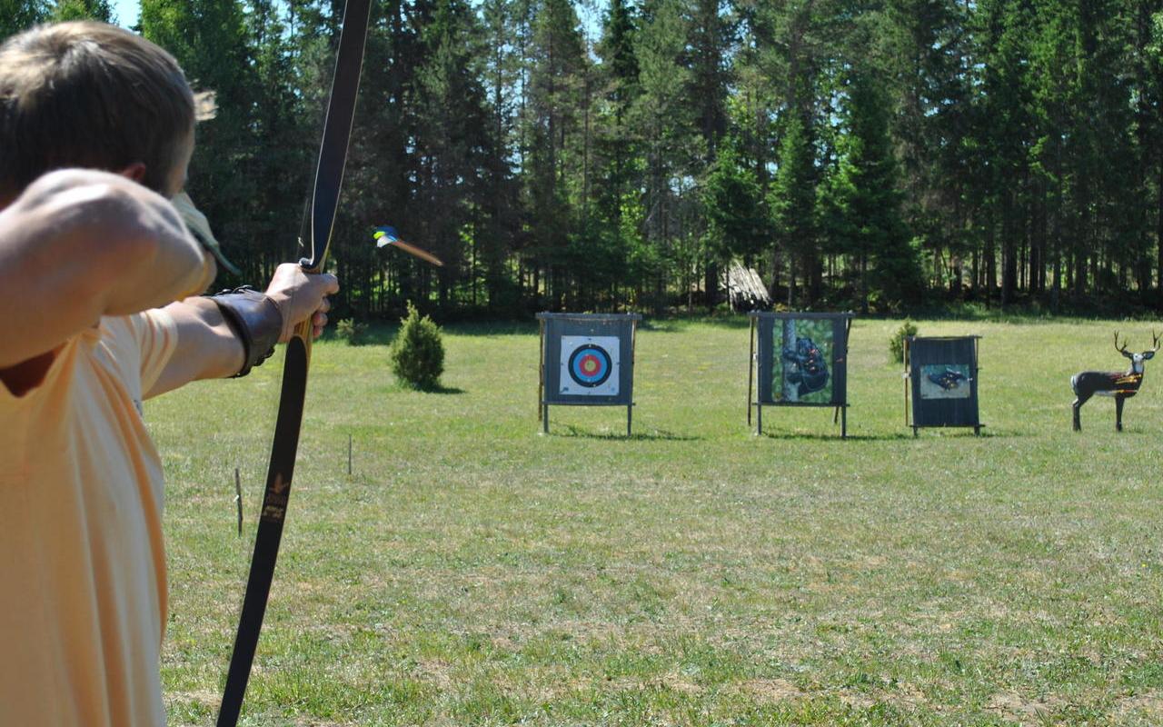 Kohe lähedal Hiievälja viburada. Harjutusplatsil.