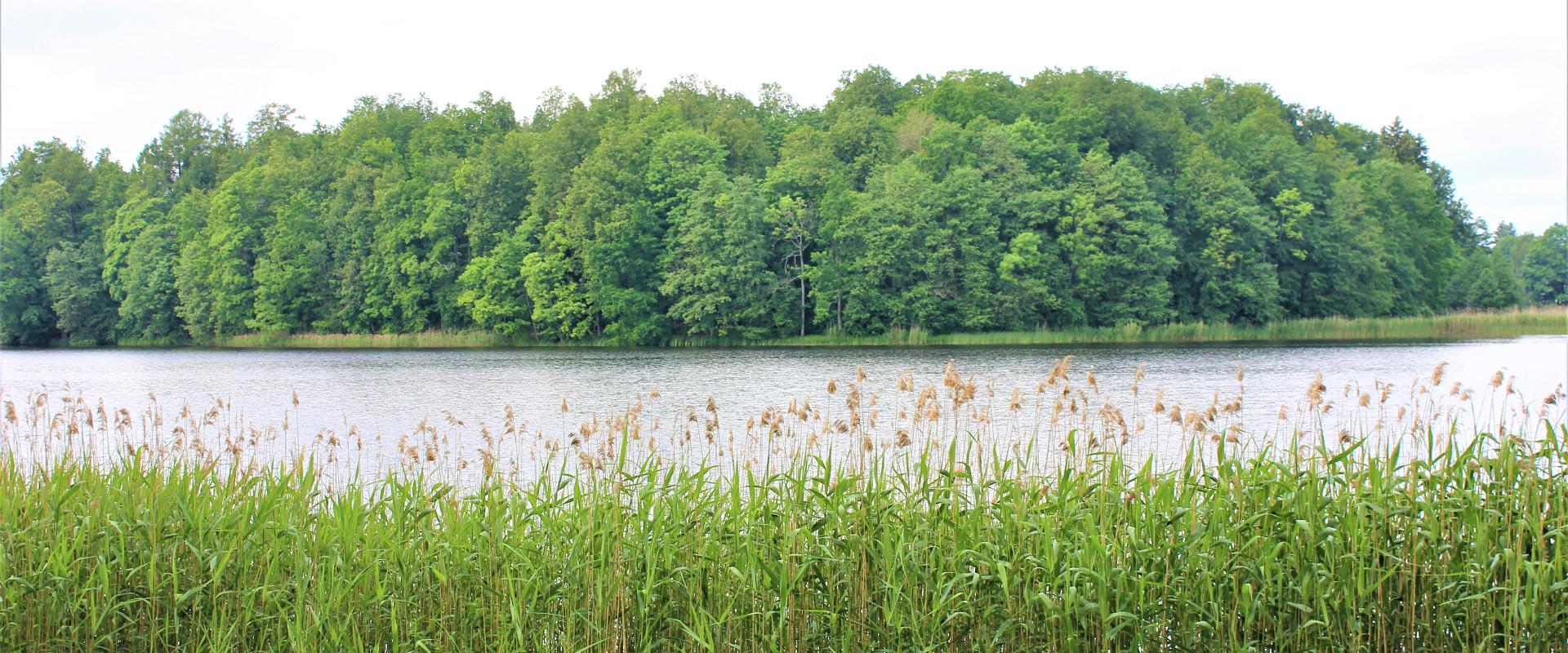 Vaade mõisapargile Räpina paisjärve rannast