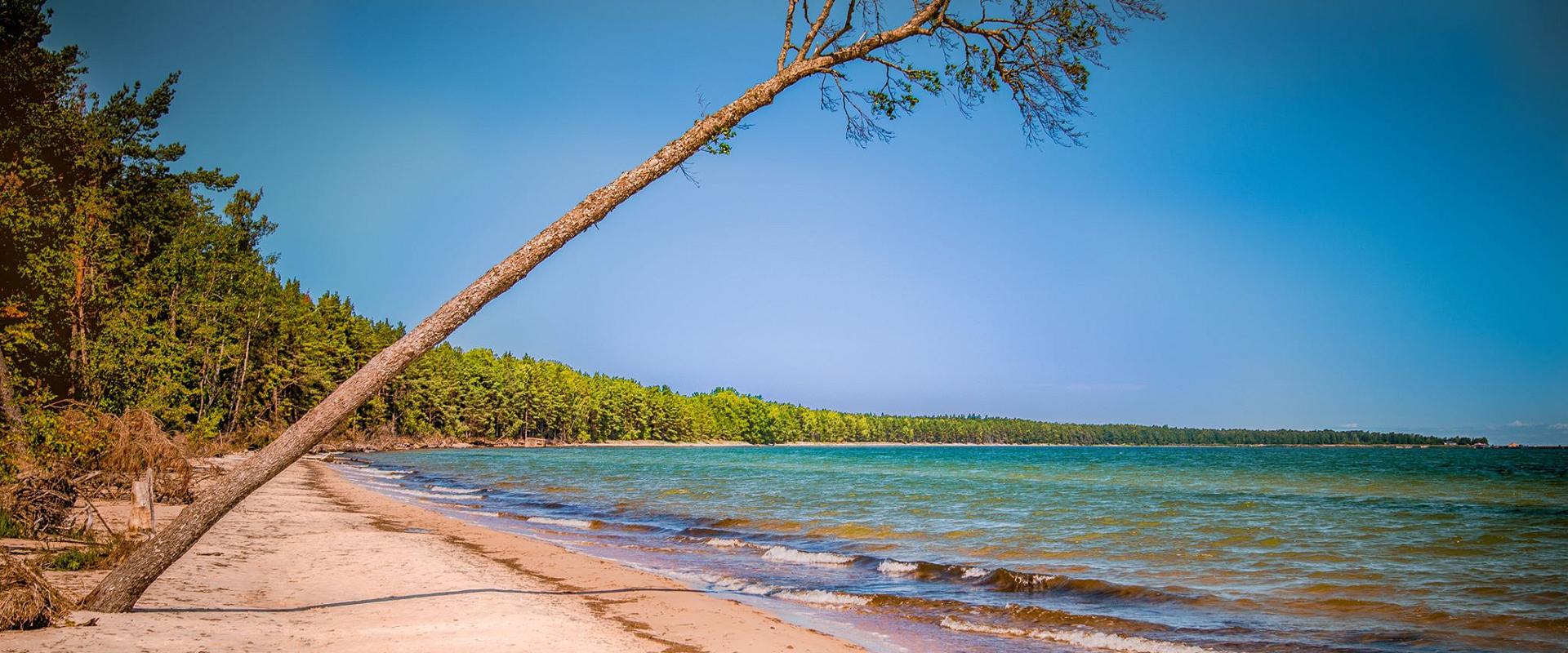 Der Strand und Zeltplatz am Tõrvanina