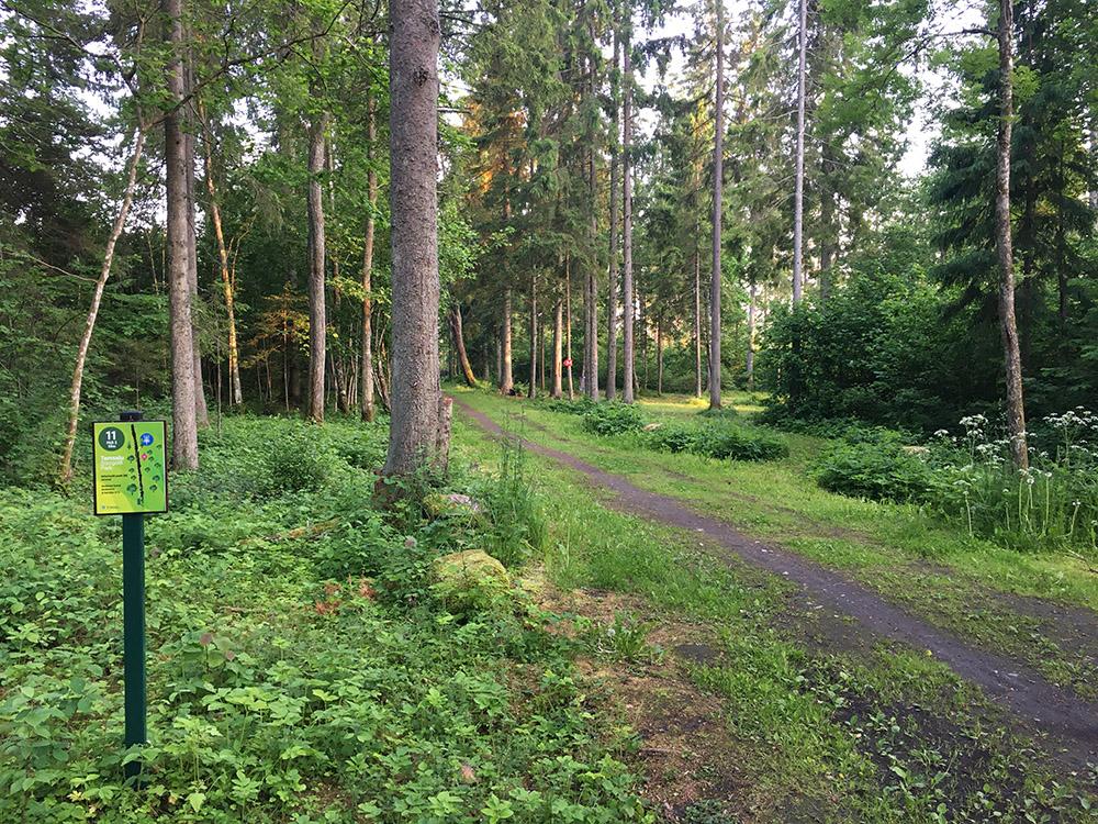 Tamsalu disku golfa parks